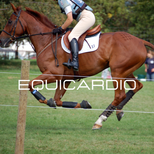 EquiCARDIO